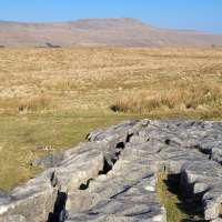 Middle Washfold Cave